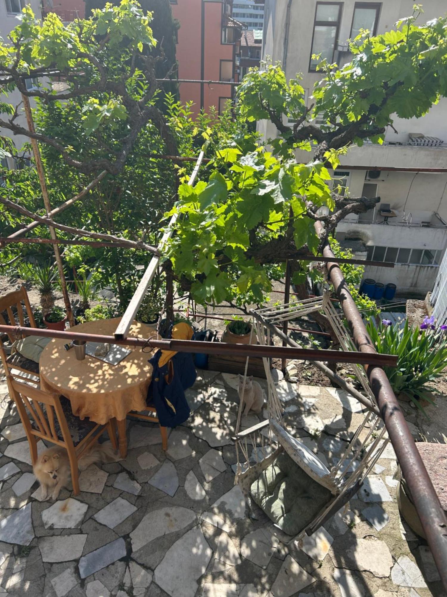 Apartmán Didi House Sandanski Exteriér fotografie